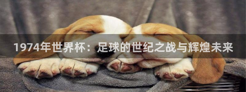 世界杯足球2026:1974年世界杯:足球的世纪之战与辉煌未来