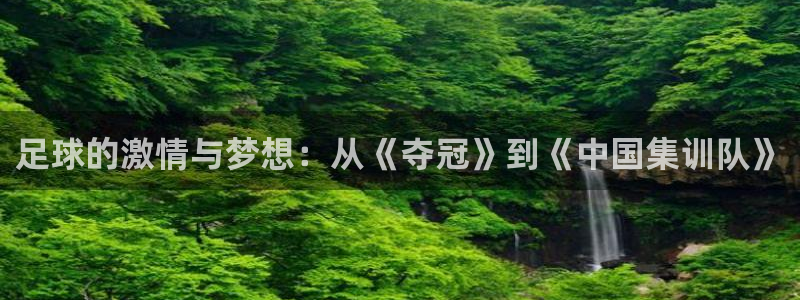 世界杯亚洲区预选赛赛程:足球的激情与梦想:从《夺冠》到《中国集训队》