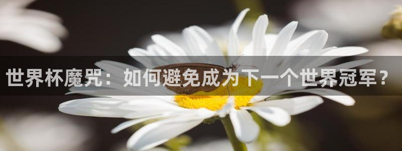 足球世预赛：世界杯魔咒：如何避免成为下一个世界冠军？