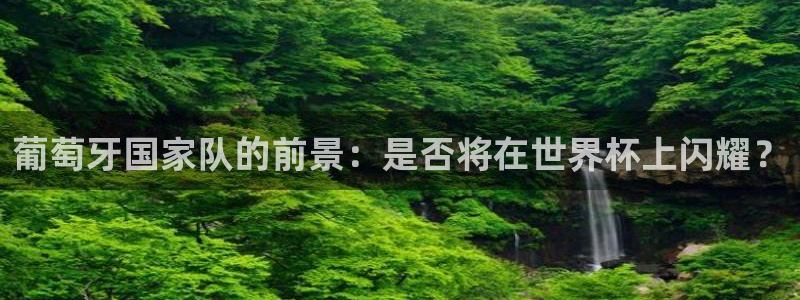 足球世界杯时间:葡萄牙国家队的前景:是否将在世界杯上闪耀?