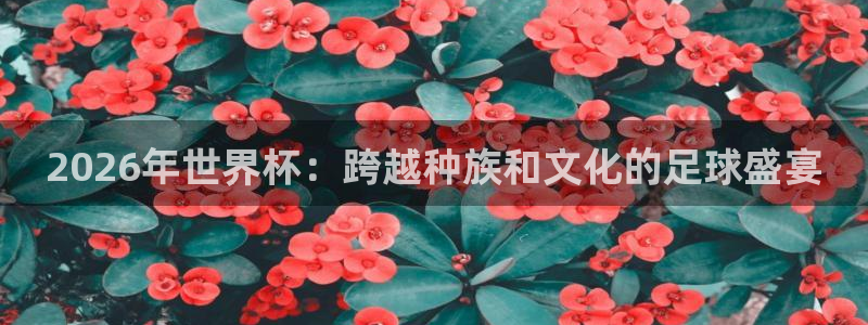 法国杯2026赛程表：2026年世界杯：跨越种族和文化的足球盛宴