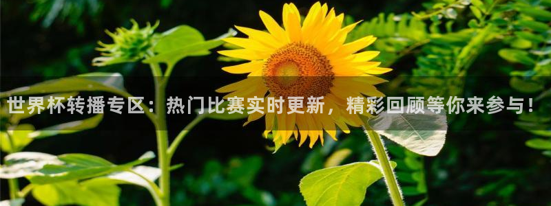 世界杯附加赛赛程表:世界杯转播专区:热门比赛实时更新,精彩回顾等你来参与!