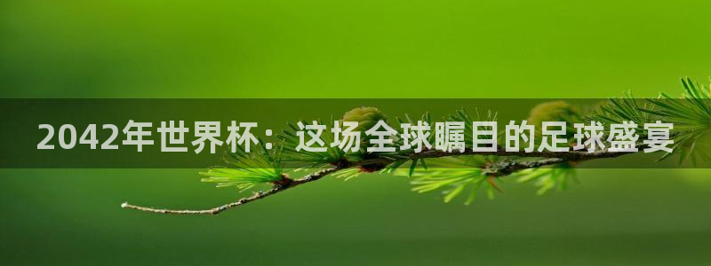 2026世界杯赛程表完整版：2042年世界杯：这场全球瞩目的足球盛宴