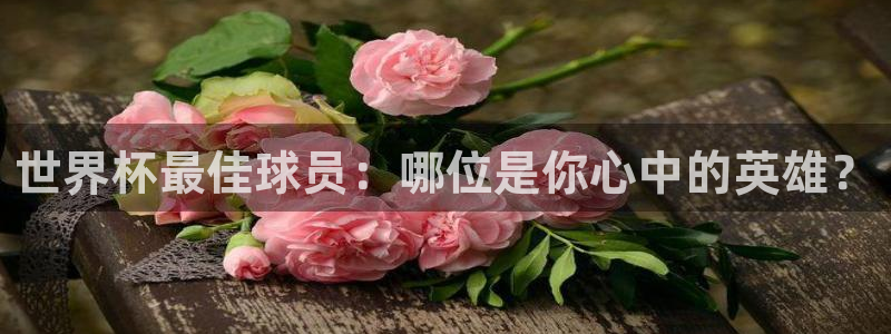 足球世界杯赛程：世界杯最佳球员：哪位是你心中的英雄？
