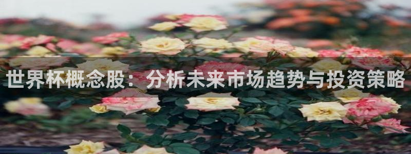 2026年世界杯对阵图：世界杯概念股：分析未来市场趋势与投资策略