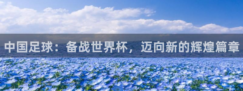 世界杯足球直播：中国足球：备战世界杯，迈向新的辉煌篇章