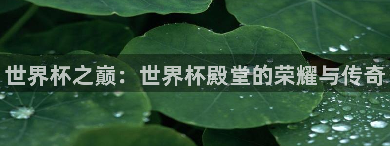 世界杯赛程表：世界杯之巅：世界杯殿堂的荣耀与传奇