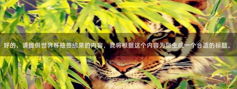 世界杯直播平台：好的，请提供世界杯抽签结果的内容，我将根据这个内容为您生成一个合适的标题。