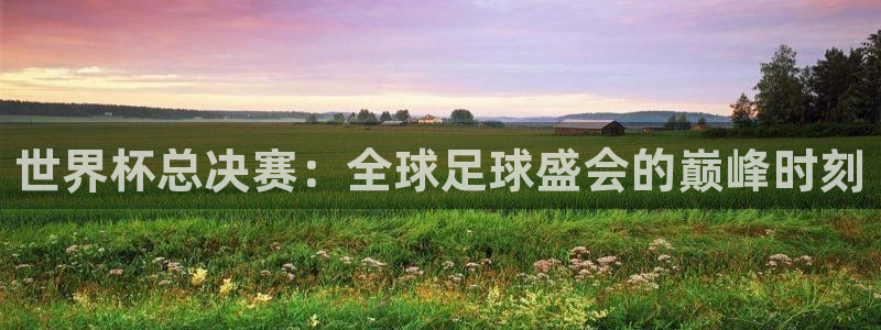 世界杯 中国：世界杯总决赛：全球足球盛会的巅峰时刻