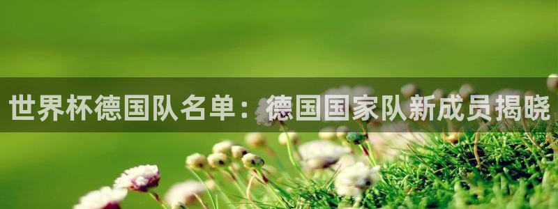 世俱杯直播：世界杯德国队名单：德国国家队新成员揭晓