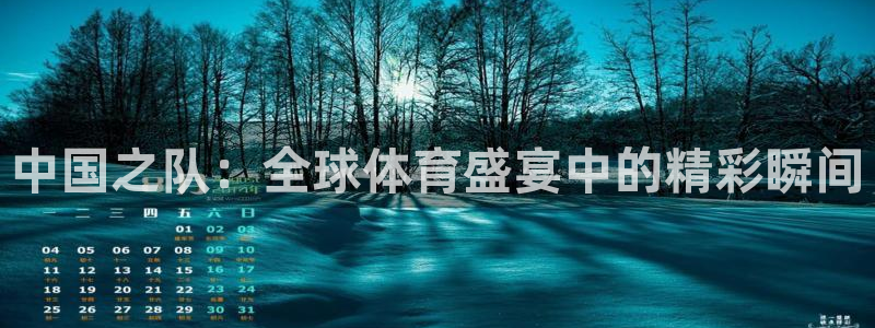 世预赛直播：中国之队：全球体育盛宴中的精彩瞬间