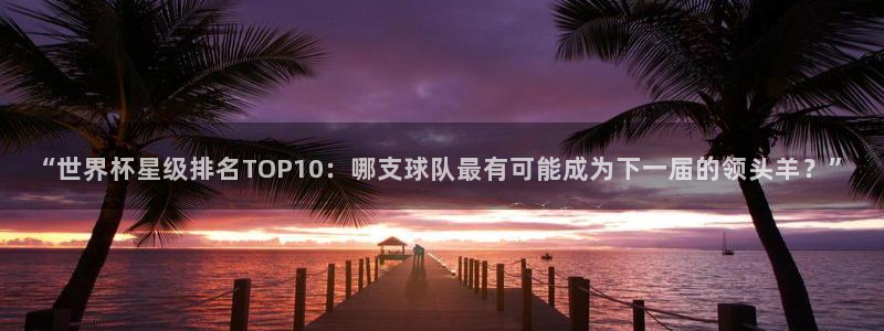 2026世界杯官网：“世界杯星级排名TOP10：哪支球队最有可能成为下一届的领头羊？”